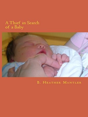 cover image of A Thief in Search of a Baby